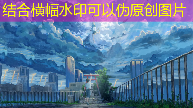 跆拳道小男孩护具