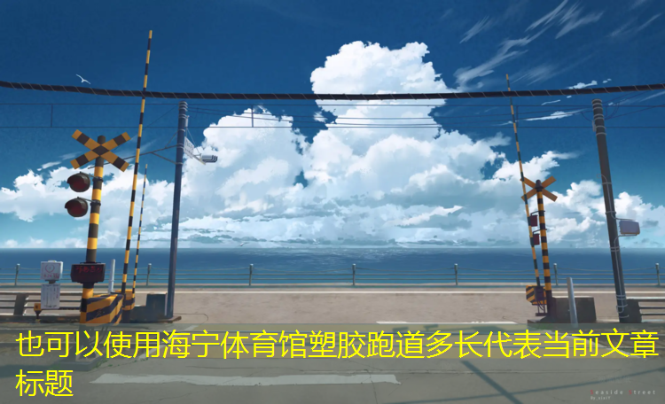 海宁体育馆塑胶跑道多长