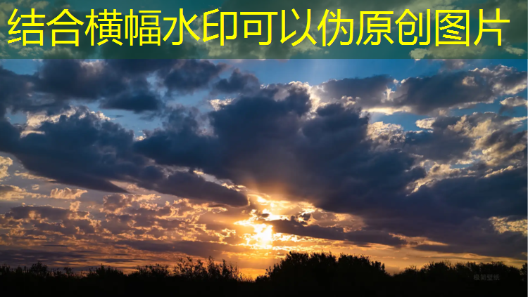 江门塑胶跑道定制