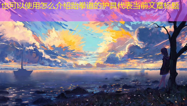 怎么介绍跆拳道的护具