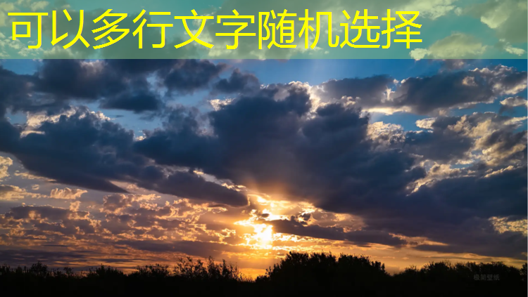 网球网子手冢国光