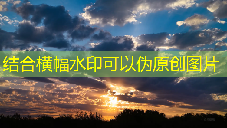 郑州透气型塑胶跑道价钱
