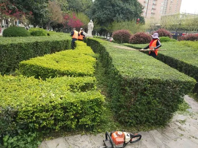 米乐：小孩训练篮球器材