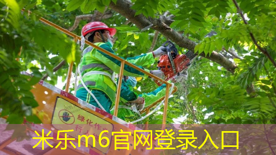 米乐：室内无器材健身操