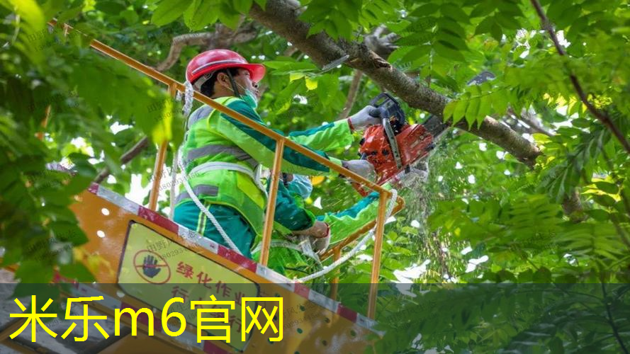 米乐m6官网：草坪爱好者必备技巧：掌握自动修剪的诀窍