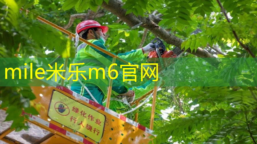 米乐m6官网：全面分析！单杠和双杠的特点、优势对比解读！