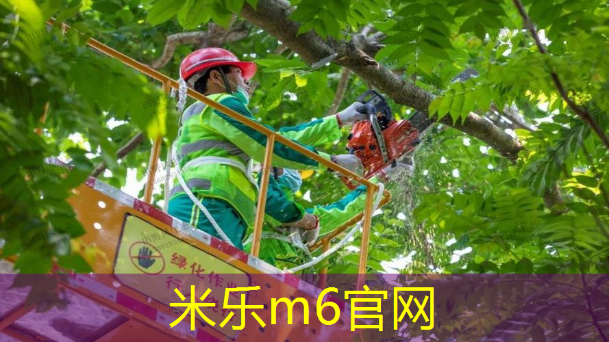 米乐m6官网：室内健身跳绳